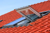 Town Street roof window